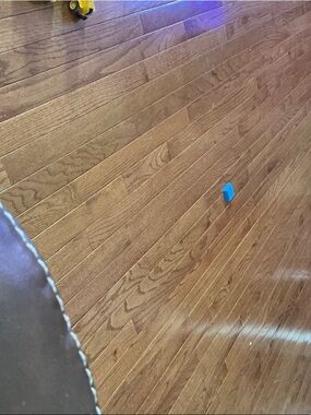 Stoney Clover Lane Brown High Waist Shorts